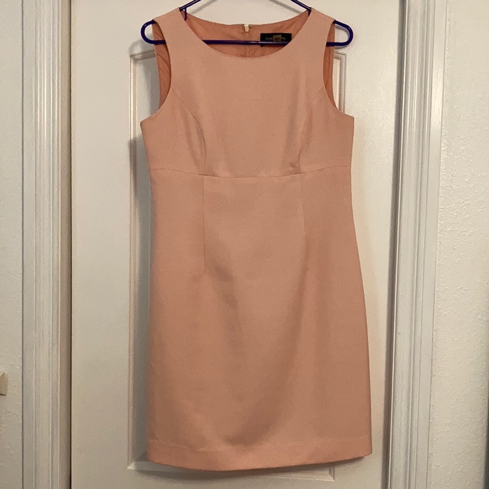 Black Label Pink Sleeveless Dress